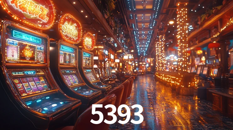 5393.com